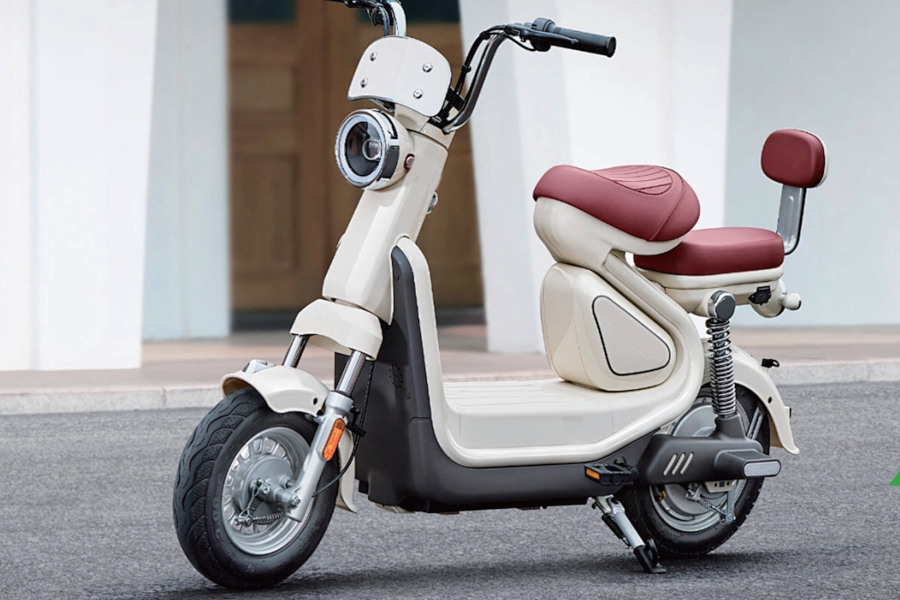 48V E-Scooter Serie